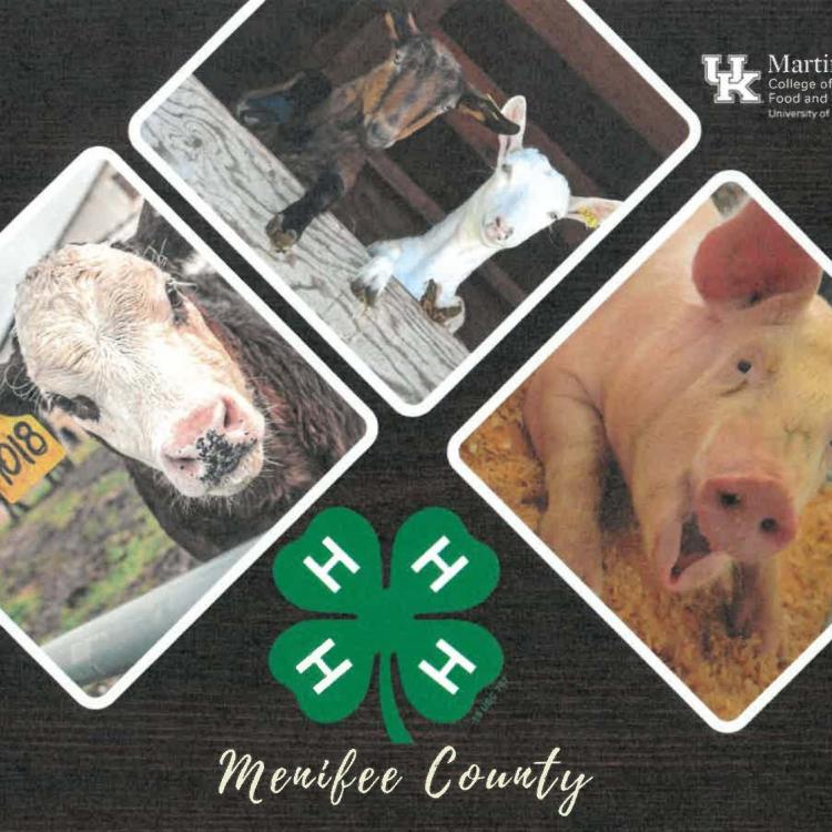  4-H Program