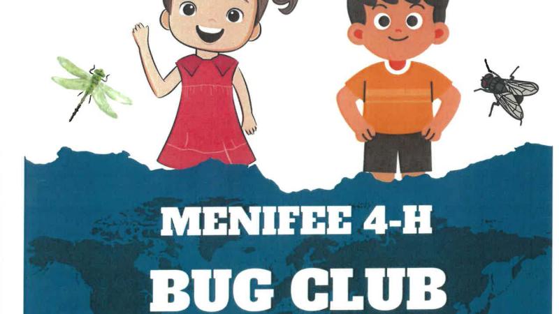 Ages 8-14