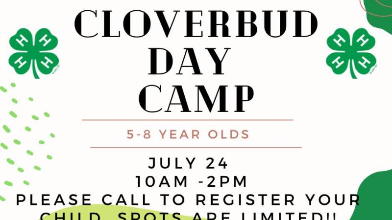 cloverbud day camp